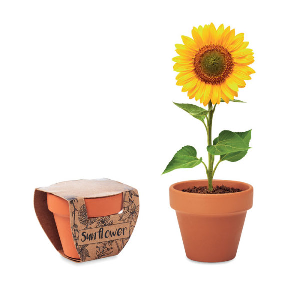 SUNFLOWER - Terracotta skål 'sunflower'
