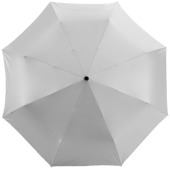 Alex 21.5" foldable auto open/close umbrella - Silver/Solid black