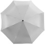 Alex 21,5'' opvouwbare automatische paraplu - Zilver/Zwart