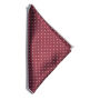 J.H&F Handkerchief Wine/White