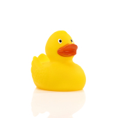 Squeaky duck