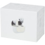 Braavos Mini TWS oordopjes - Ivory cream