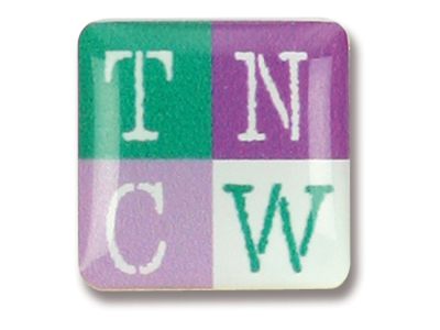 Badge metalen pin 15x15mm