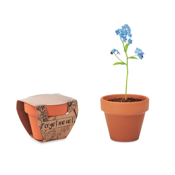 FORGET ME NOT - Terracotta skål 'forget me not'