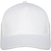 Doyle 5 panel cap - Wit