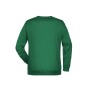 Promo Sweat Men - irish-green - 4XL