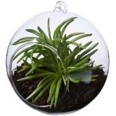 Sphere terrarium Sphere terrarium