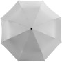 Alex 21.5" foldable auto open/close umbrella - Silver/Solid black