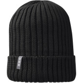 Ives biologische beanie - Zwart