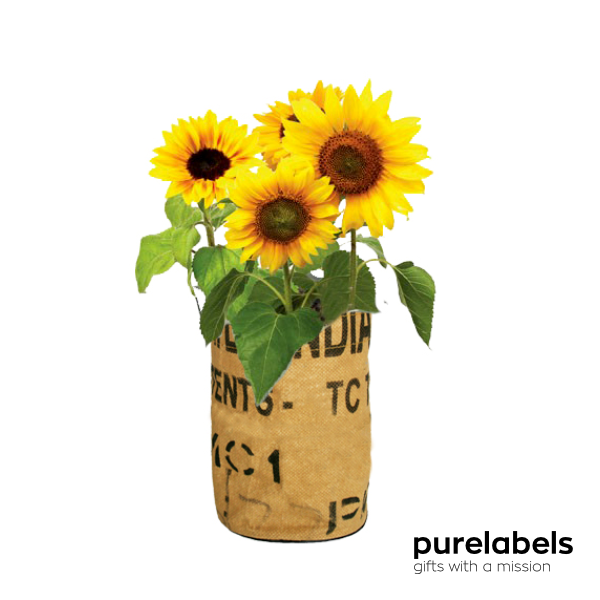 Kweektuintje | Zonnebloemen | Origineel fairtrade relatiegeschenk