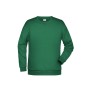 Promo Sweat Men - irish-green - 5XL