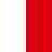 Flag - Tweekleurige Polo White / Red 3XL