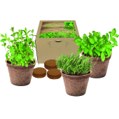 Coco Plantenpot set 'Italian Cuisine' Coco Plantenpot set 'Italian Cuisine'
