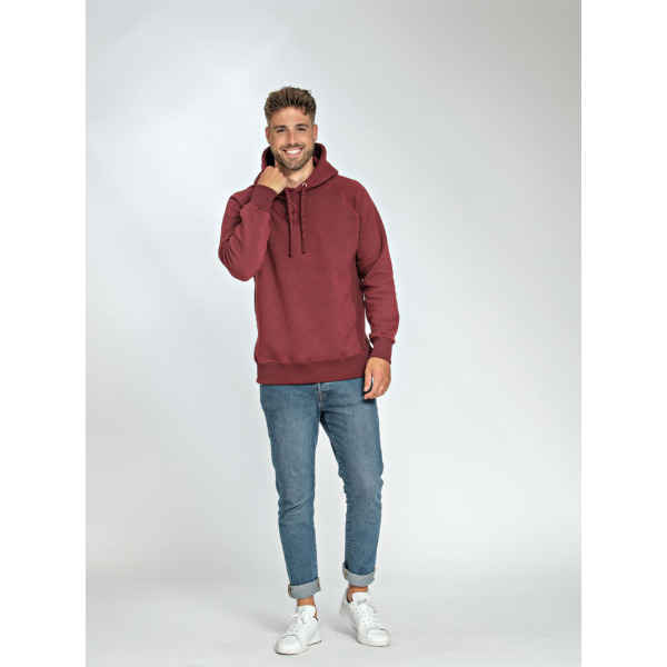L&S Heavy Sweater Hooded Raglan for him