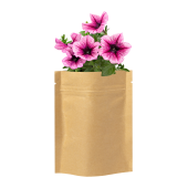 Sober - bloemen planten kit