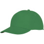 Hades 5 panel cap - Varengroen