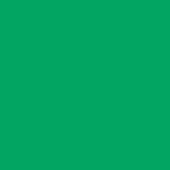 Safran Timeless / Women Kelly Green S