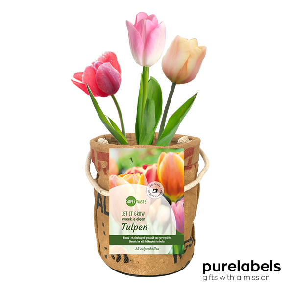 Duurzaam relatiegeschenk let it grow kweektuintje tulpen 25