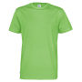 T-Shirt Man Green 3XL (GOTS)