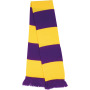 Team Scarf Purple / Yellow One Size