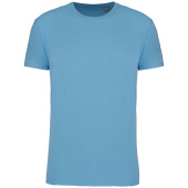 Cloudy blue heather