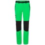 Men's Trekking Pants - fern-green/black - S