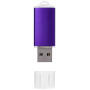 Silicon Valley USB - Paars - 1GB