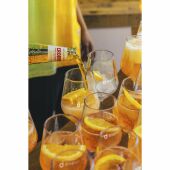 HappyGlass Lady Abigail Wijnglas Tritan 470 ml