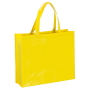 Eco glans gelamineerde non woven draagtas shopper