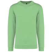 Crew neck sweatshirt Apple Green XS
