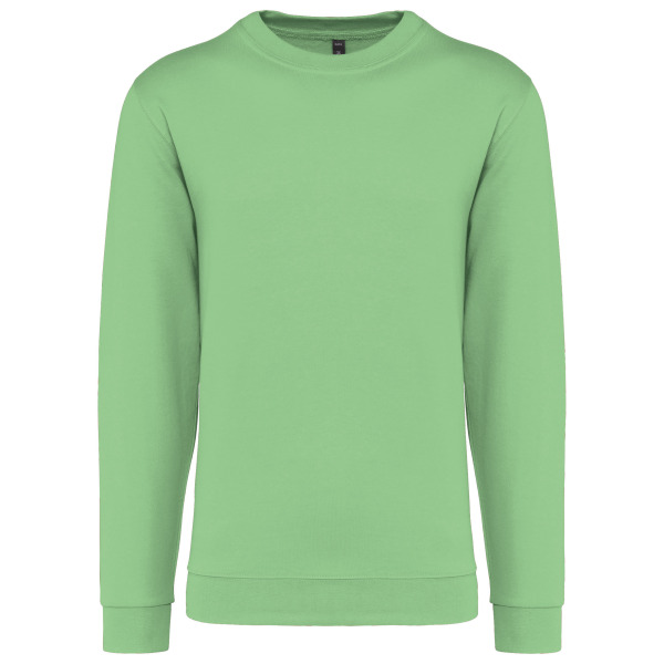 Sweater ronde hals Apple Green XL