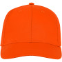 Ares 6 panel cap - Oranje