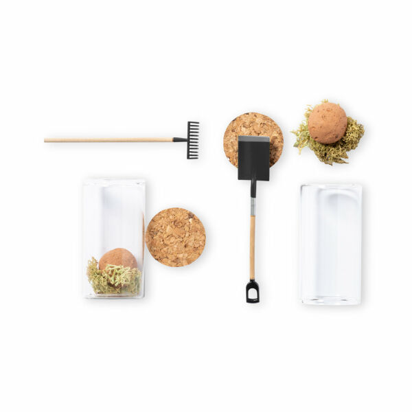 Bonbon Zaden Winsu - B - S/T Bonbon Zaden Winsu - B - S/T