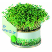 Mini Tuinkerstuin Met Magneet Mini Tuinkerstuin Met Magneet