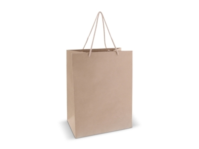 Papieren geschenktas 120g/m² 30x20x40cm