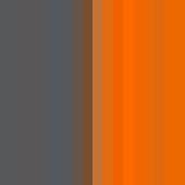 Flag - Tweekleurige Polo Dark Grey / Orange XXL