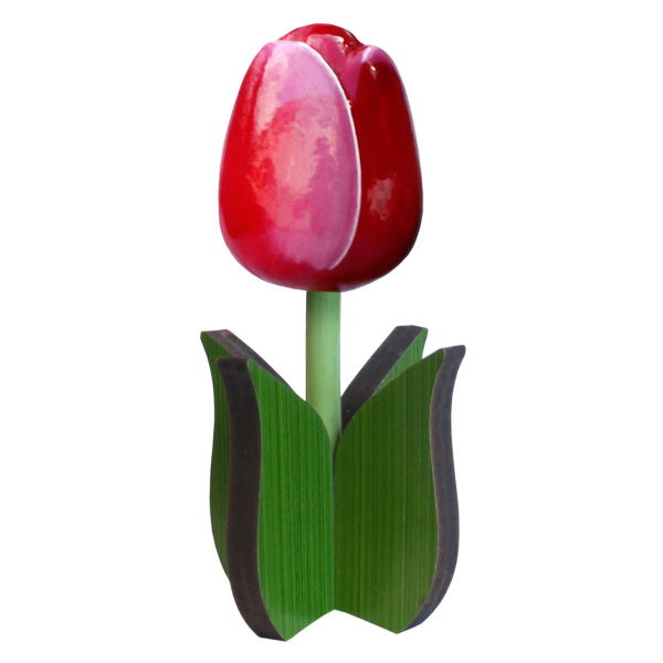Grote tulp op een blad