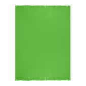 Fleece Blanket Basic - green - one size