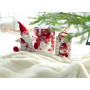 Kerstgeschenkdoos, set van 2 wit/rood
