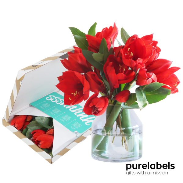 Eindejaarsgeschenk |Boeketje Amaryllis rood | Brievenbusgeschikt