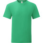Iconic-T Men's T-shirt Kelly Green XXL