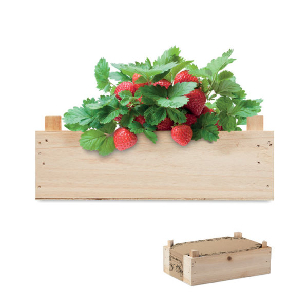 Aardbeienpakket in houten krat