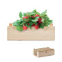 STRAWBERRY - hout