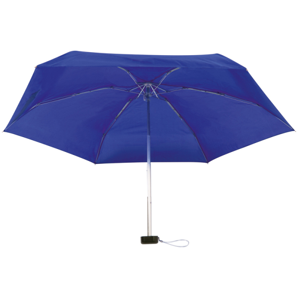 Opvouwbare paraplu in EVA etui