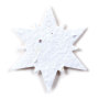 Sneeuwvlok 3