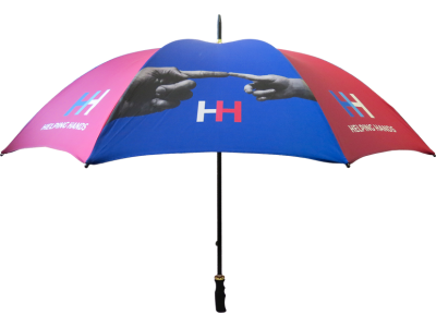 30 inches straight umbrella