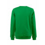 Printer Softball RSX Sweater Fresh Green 4XL