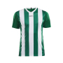 Craft Progress stripe jersey men green/white xs