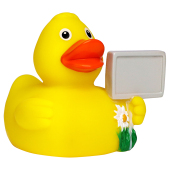 Squeaky duck CityDuck®