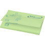 Sticky-Mate® sticky notes 100x75 mm - Mintgroen - 50 pages